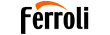 Запчастини котлів Ferroli (Ferroli)